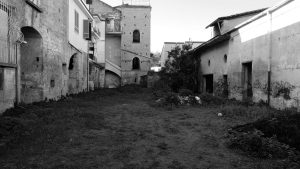 corte_03-scaled